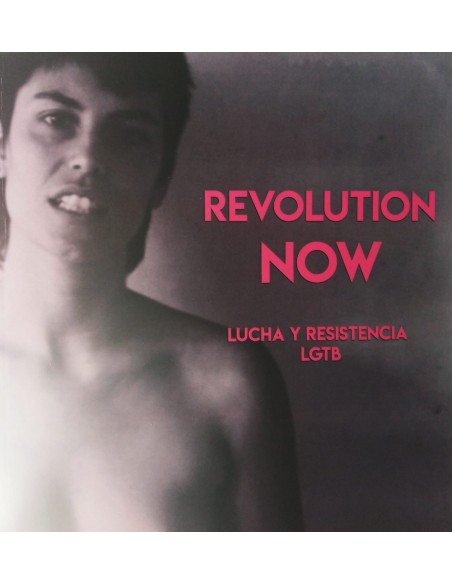 Revolution now. Lucha y resistencia LGTB