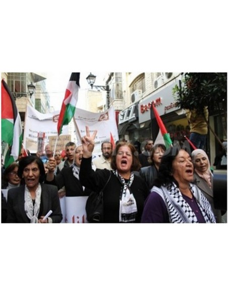 Historia del movimiento de mujeres en Palestina