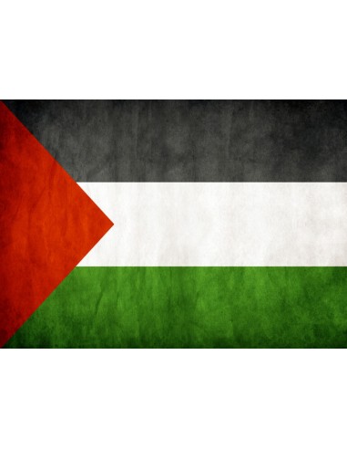 Pegatina bandera palestina